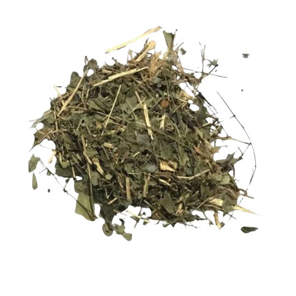 NIM INDIANO PARA CHA - (AZADIRACHTA INDICA) 